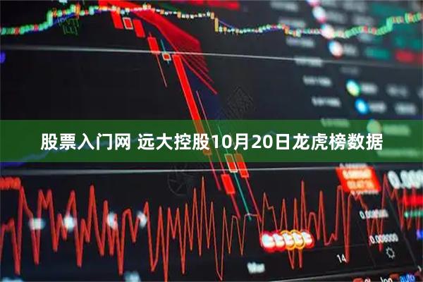 股票入门网 远大控股10月20日龙虎榜数据